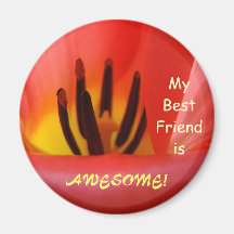 Meine besten Freunde ist fantastisch! Magnetgesche