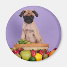 Meine Frucht, ziehen sich zurück! Magnete