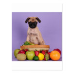Meine Frucht, ziehen sich zurück! Postkarte