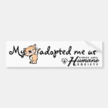 Meine Katze adoptierte mich an Auto Aufkleber