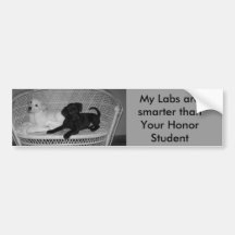 Meine Labradore sind intelligenterer Stoßaufkleber Auto Sticker