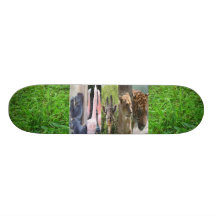 Menagerie Skateboard Bretter