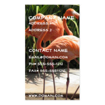 Menge der Flamingo-Visitenkarte