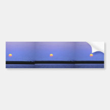 Menge der Wasservögel in Regenwasser-Becken-Sumpfg Auto Sticker