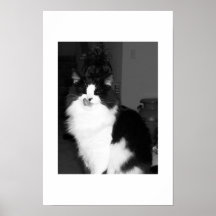 Meow Appetit! Plakat