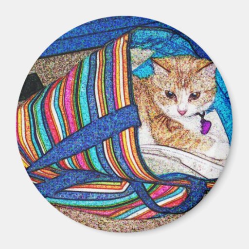 Meow Kühlschrankmagnet