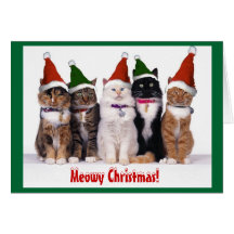 "Meowy Weihnachten!" Katzen Karte
