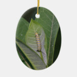 Metamorphose-Verzierung Weihnachtsbaum Ornament