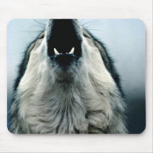 Mexikanischer Wolf, bedrohte Art, Sonoran Wüste, Mousepads