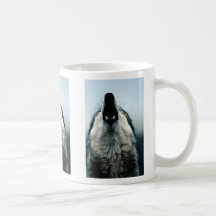 Mexikanischer Wolf, bedrohte Art, Sonoran Wüste, Tee Haferl