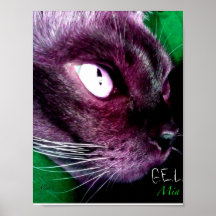 MIA PLAKATDRUCK
