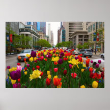 Michigan-Allee, Chicago Posterdrucke