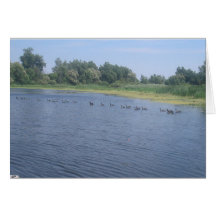 Michigan-Enten Karte