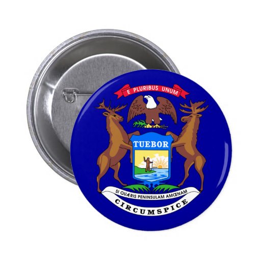 Michigan-Flagge Button