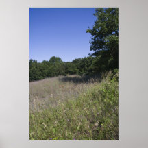 Michigan-Wiesendruck Posterdruck