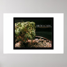 Microkosmos Posterdruck