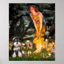 MidEve - Schnauzer (b) Posterdrucke