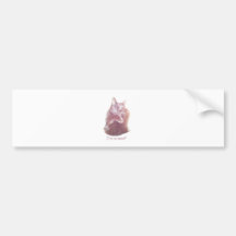 Miezekatze Autosticker