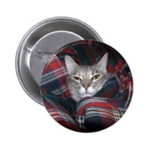 Miezekatze erhält cozy. buttons