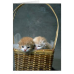 Miezekatze Grußkarte