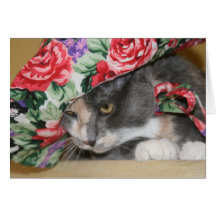 Miezekatze im Hut Karte