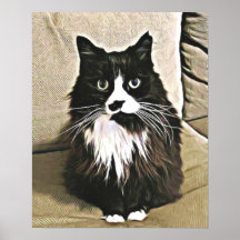 Miezekatze in der Ruhe Plakate