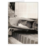 Miezekatze- und Zeitungssiebziger jahre Fotografie Grußkarte