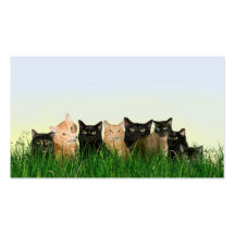 Miezekatzekatzen im Gras Visitenkarte