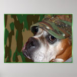 Militärboxerhundeplakat