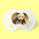 Mini Teddy schnuller