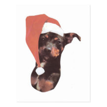 Miniaturpinscher-Weihnachtsmannmütze Postkarte