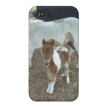 Minipferdebaby iphone Fall iPhone 4/4S Hülle