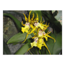 mit Blumen Fotodruck