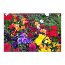 Mit Blumenstationäres Individuelles Druckpapier