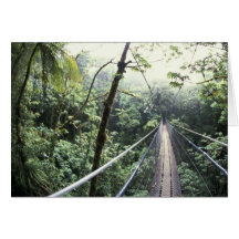 Mittelamerika, Costa Rica, Monteverde Wolke Grußkarte