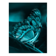 Mitternachtsleidenschaft, blaue Schmetterlings-Küs Postkarten