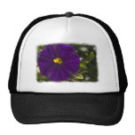 Mitternachtsschatten Trucker Cap