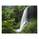 Mittlerer Norden fällt, Silber-Fall-Staats-Park, Fotos