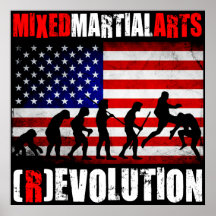 MIXED MARTIAL ARTS - Diagramm-Flaggen-Plakat der E