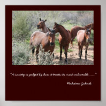 MLH Quarterhorses Plakatdrucke