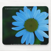 Mode Mousepad - Ochsenauge-Gänseblümchen