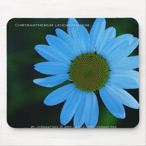 Mode Mousepad - Ochsenauge-Gänseblümchen