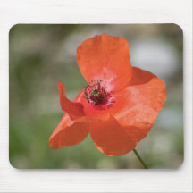 Mohn poppy mauspad