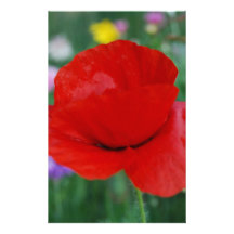 Mohnblumen-Blume und -bedeutung Bedrucktes Papier