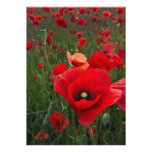 Mohnblumen-Feld-Einladung