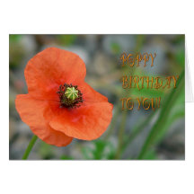 MOHNBLUMEN-GEBURTSTAG GRUßKARTEN