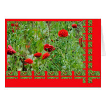 Mohnblumen Grußkarte