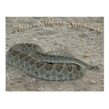 Mojave Postkarten
