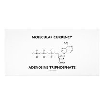 Molekulares Währungs-Adenosin-Triphosphat Fotokartenvorlage