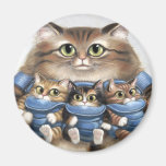 Momcat Magnete